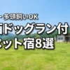 関西でペットと泊まれる宿のドッグラン付きおすすめ8選！大型犬や多頭飼いも大満足