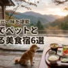 【厳選】九州でペットと泊まれる食事が美味しい宿6選！愛犬と地元の食材を堪能