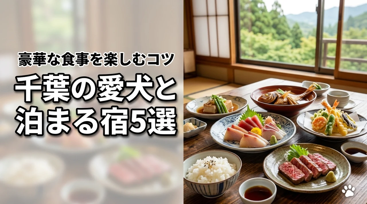 千葉でペットと泊まれる食事が美味しい宿5選！愛犬と豪華メニューを楽しむコツ