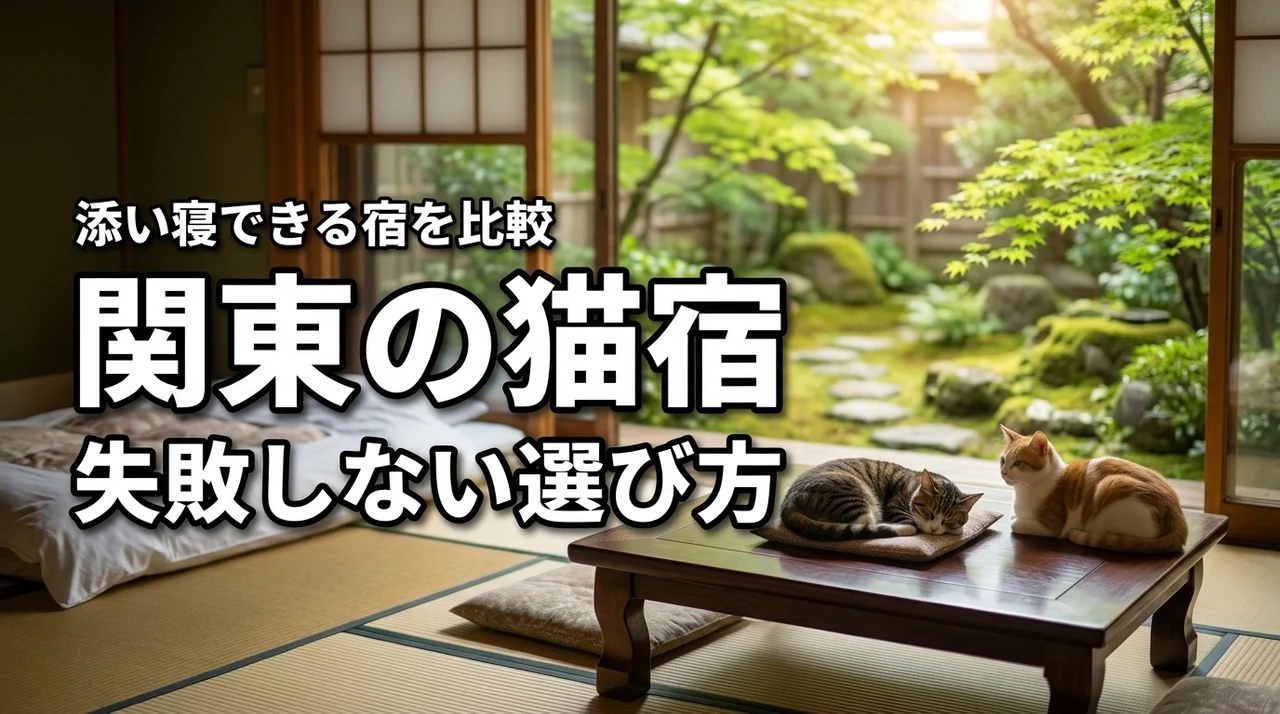 関東で猫のいる宿に泊まるなら？添い寝や客室訪問の可否など失敗しない選び方を解説